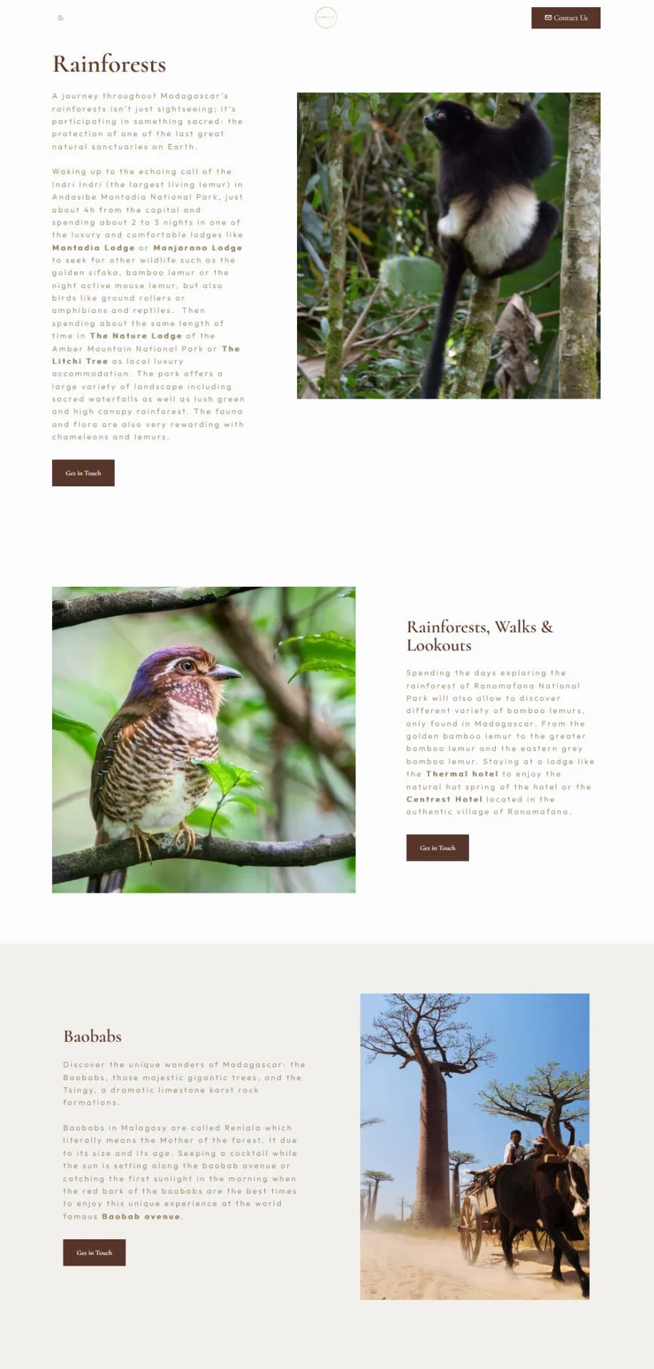 Rainforests, Rare birds, Baobabs